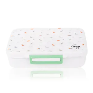 Citron Tritan Lunchbox - Dino - White