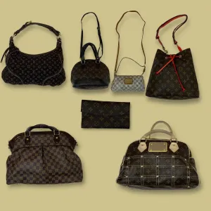 Louis Vuitton Bags (G