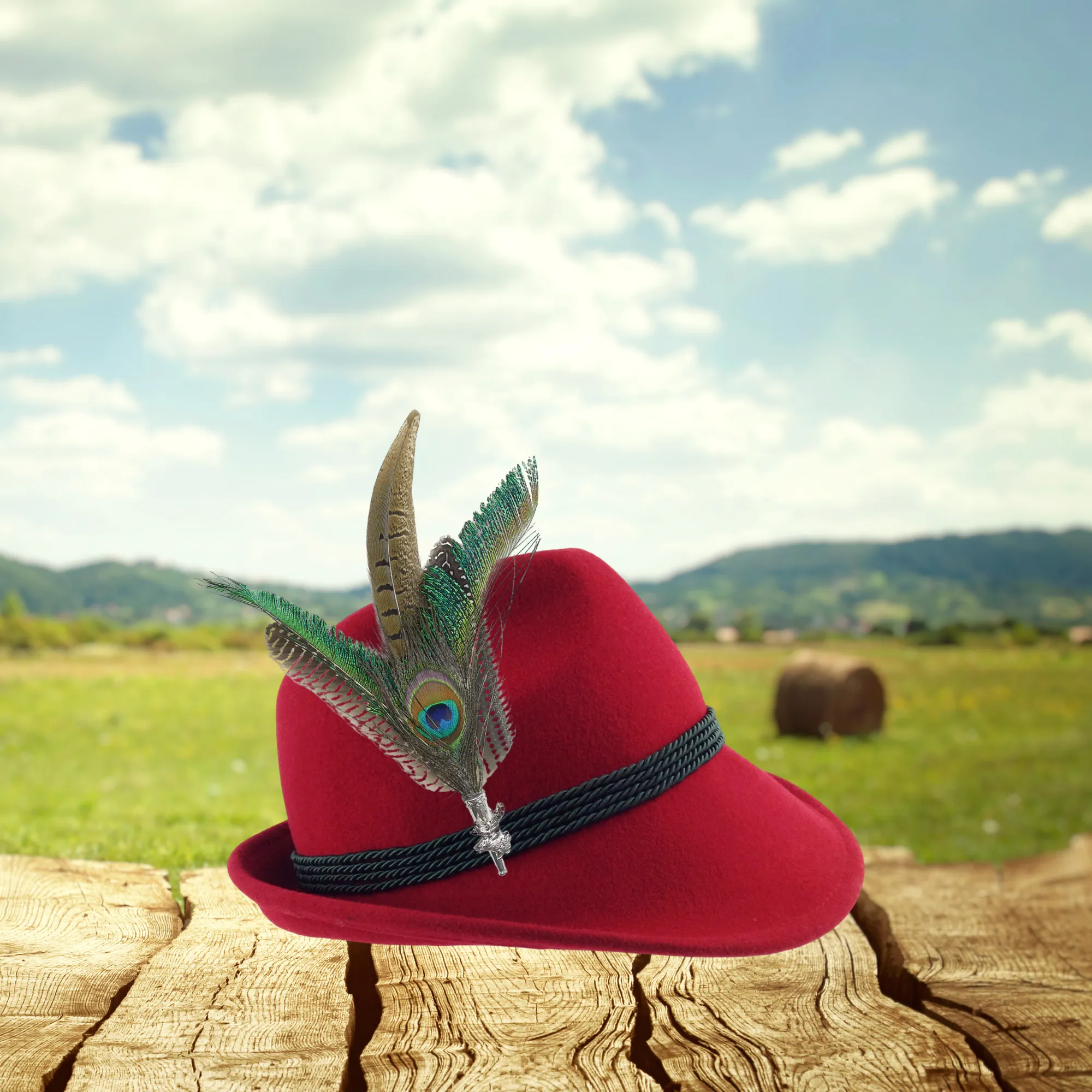 Peacock & Pheasant Oktoberfest Hunter Hat Feathers with Stag Pin